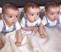 Абсолютно идентичных тройняшек различает только их мама