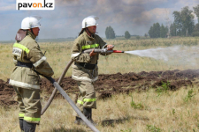 15 лесных пожаров произошло в Павлодарской области за последнюю неделю