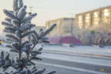 Понижение температуры прогнозируют синоптики&nbsp;