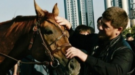 Лошадь Рамзана Кадырова попала под санкции ЕС