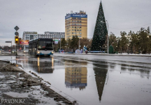 Главную новогоднюю елку Павлодарской области зажгут только после празднования Дня Независимости