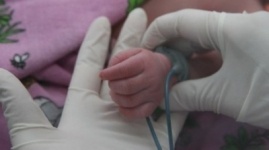 Младенца подкинули в чужую коляску в поликлинике Экибастуза