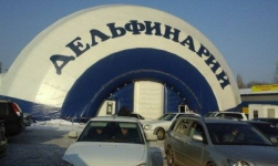 Жителей Алматы возмутили условия содержания дельфинов на барахолке