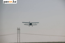 Легкомоторный самолет Ан-2 потерпел крушение в Павлодарской области