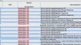 Названы причины ошибки в базе данных юридических лиц Казахстана