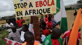 Число жертв лихорадки Эбола превысило 8 тысяч человек