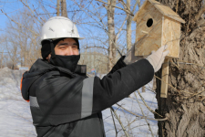 Павлодарские металлурги в рамках экоакции решают квартирный вопрос для птиц