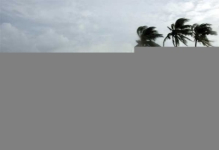 В мексиканских штатах объявлено ЧП из-за урагана «Мари»