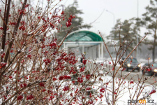 Последние крепкие морозы ожидаются на этих выходных в Павлодаре