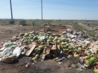 Новый закон об экологии спасет города от захламления мусором