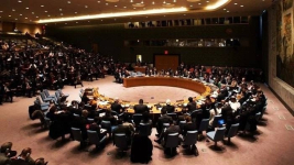 Украина стала членом Совета Безопасности ООН