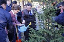 В Павлодаре Дарига Назарбаева посадила ель рядом с деревом, высаженным Сарой Назарбаевой