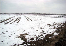 Тысячи гектаров плодородных земель простаивают в Павлодарской области