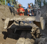 Попали в сети