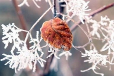 Казахстан ожидают заморозки до минус 30 градусов