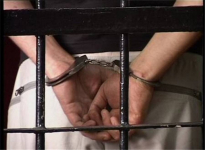 В Павлодаре задержан мошенник-рецидивист и очередной конокрад