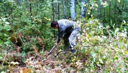 В Павлодарской области лесоруба освободили от уголовной ответственности