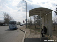 В Павлодаре вместо того, чтобы убрать опасный для жизни знак пешеходного перехода, обновили зебру на этом участке