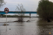 Пьяная женщина едва не утонула в реке в Павлодаре