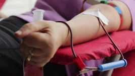 В США геям разрешили быть донорами крови после года воздержания