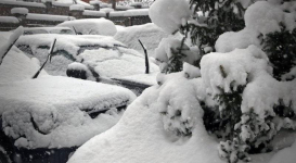 Мартовский снег в Алматы оказался обильнее зимних снегопадов