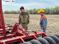 До 500 тысяч тенге могут заработать студенты павлодарского аграрного колледжа на трудовой практике