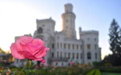 Что посетить в Чехии? Исторический фестиваль пятилепестковой розы