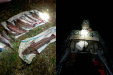 Ущерб свыше 3 млн тенге нанесли браконьеры в Павлодарской области