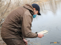 Научная группа начала искать личинки кровососущих в водоемах Павлодарской области