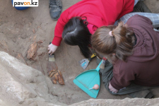 Павлодарские археологи рассказали, что нашли в курганах кимаков под Кенжеколем