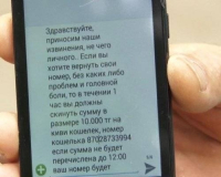 Павлодарский автолюбитель готов заплатить внушительное вознаграждение за информацию о мошенниках