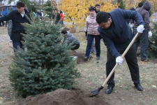 Сорок тысяч человек и два акима