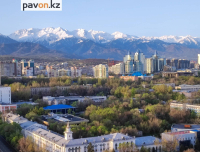 16-летняя павлодарка уехала без предупреждения в Алматы