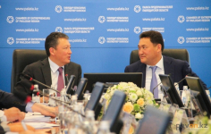 Тимур Кулибав посоветовал региональным властям разрабатывать план развития Баянаула