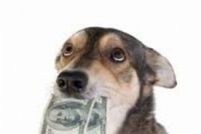 В Белоруссии собака получила в наследство миллион долларов