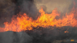 Раннее начало пожароопасного периода прогнозируют в ДЧС Павлодарской области