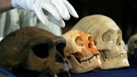 В Кокшетау при строительстве детсада нашли человеческие кости
