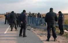 Мигранты пытались прорваться через сербско-хорватскую границу
