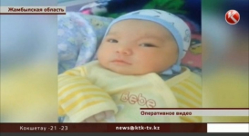 Младенца выбросили в туалет на трассе в Жамбылской области