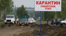 Режим ЧС из-за вспышки сибирской язвы объявлен в Карагандинской области