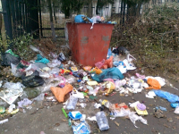 В Павлодаре новорожденного выбросили в мусорный бак