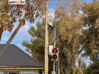 Четыре тысячи камер видеонаблюдения, недавно установленных в городах Павлодарской области, заработают в ноябре