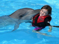 В Алматы дельфины будут лечить детей