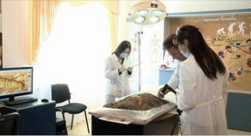 Археологи Прииртышья применили новую технологию исследования древних останков