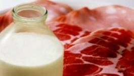 Павлодарская область перевыполнила годовой план по выпуску сельхозпродукции