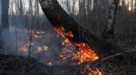 Павлодар облысында далалық алқап пен саяжайлар өртенді