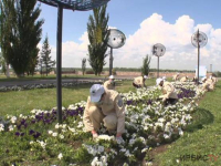Пришкольные лагеря и трудовые отряды будут работать на летних каникулах в Павлодаре