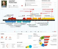 Инфографика в резюме