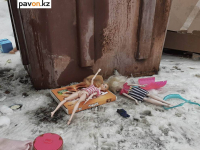 Тело младенца нашли в мусорном баке в Павлодаре