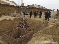 Жители села Жетекши собирают подписи против строительства скотомогильника